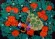 Pumpkin Harvest - Chinese Folk Art Painting