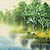 Spring / Summer Asian Cranes Landscape Painting