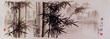 Charcoal Bamboo Drawing