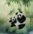 Panda Bear Painting