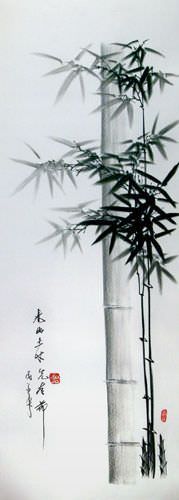 Charcoal Bamboo Portrait